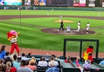 "Take Me Out to the Ballpark!"
