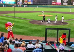 "Take Me Out to the Ballpark!"